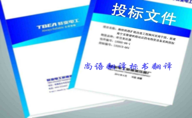西班牙語(yǔ)投標(biāo)書翻譯價(jià)格要多少錢？收費(fèi)標(biāo)準(zhǔn)是什么？